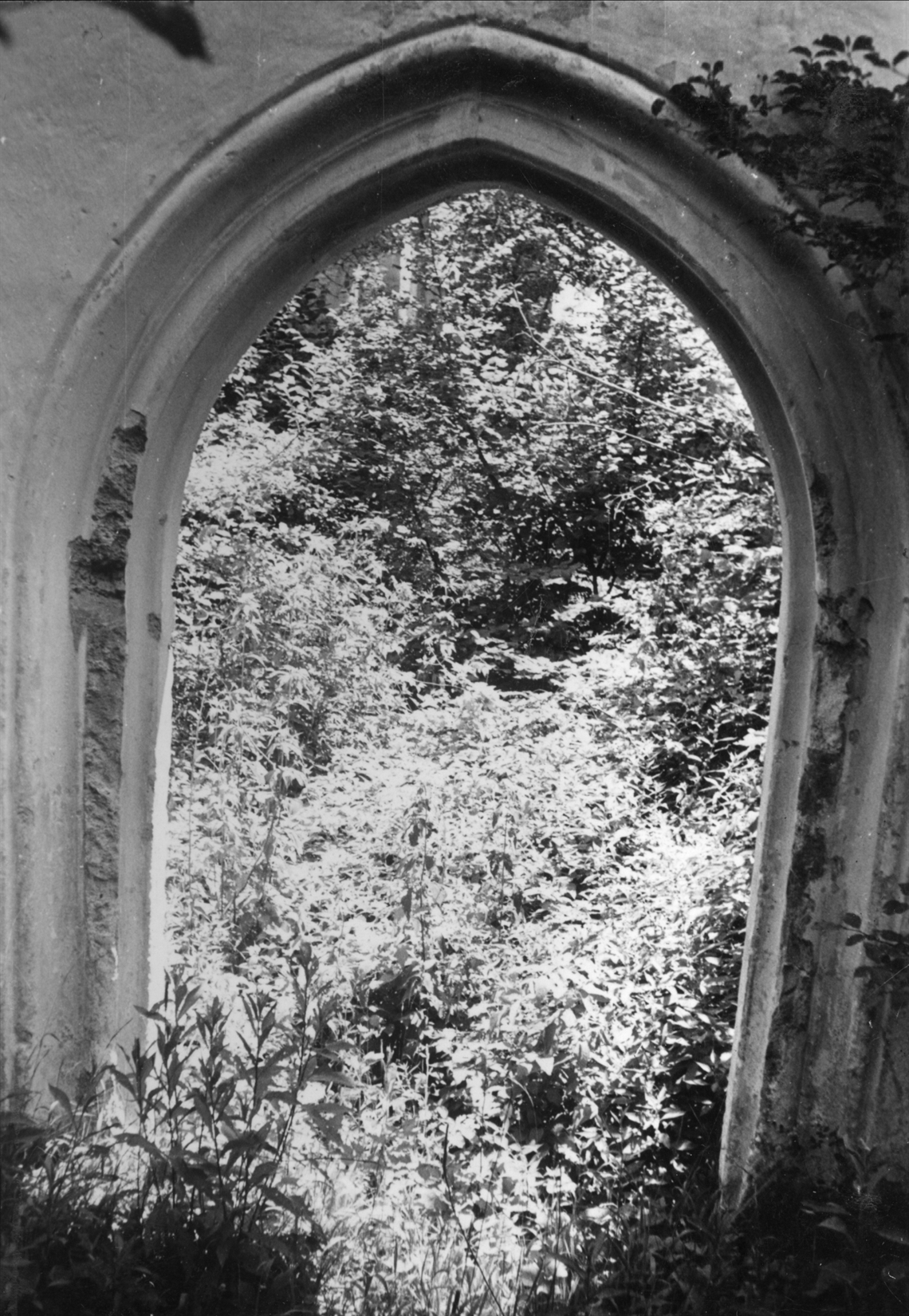 Image description